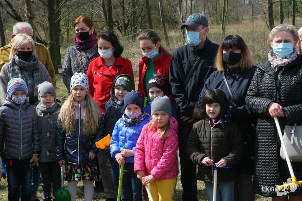 Kasztanowce i śliwy ozdobią `Browary`. Specjalna akcja UMiG i przedszkoli [wideo, zdjęcia]