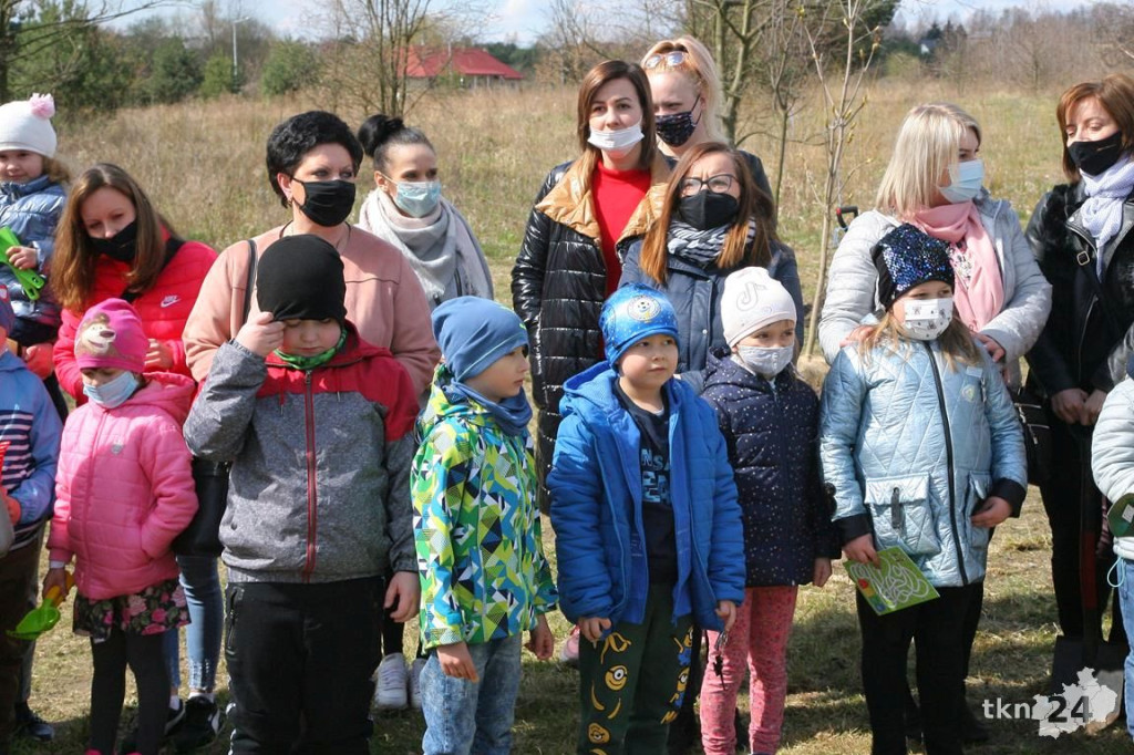 Kasztanowce i śliwy ozdobią `Browary`. Specjalna akcja UMiG i przedszkoli [wideo, zdjęcia]