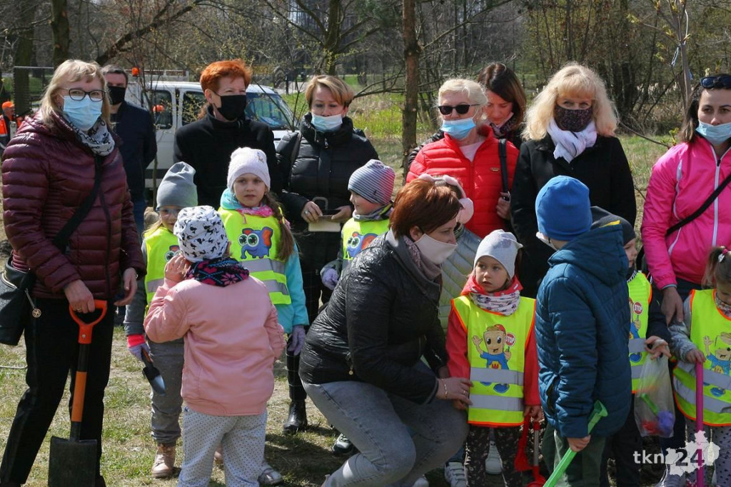 Kasztanowce i śliwy ozdobią `Browary`. Specjalna akcja UMiG i przedszkoli [wideo, zdjęcia]