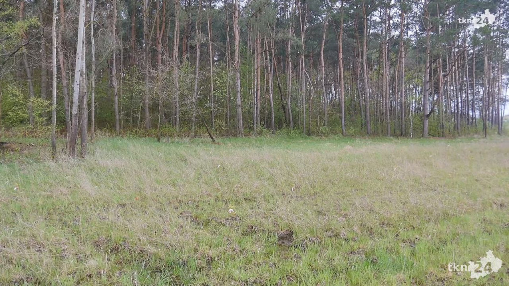 Nowe miejsce wypoczynku nad zalewem `Antoniów` [wideo, zdjęcia]