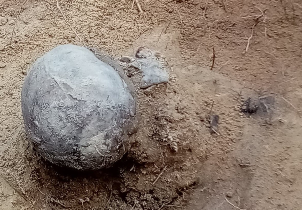 Pod Białym Ługiem znaleźli szczątki ułanów? [zdjęcia]
