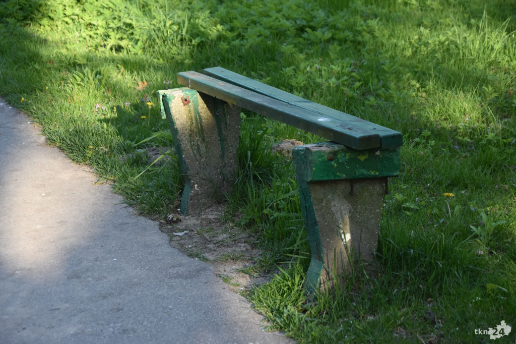 Rewitalizacja koneckiego parku. Burmistrz odpowiada [wideo, zdjęcia]