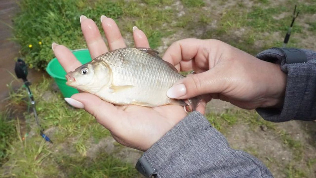 Wędkowali z okazji Dnia Dziecka nad zalewem `Antoniów` [zdjęcia]