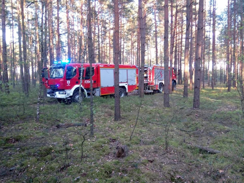 Lasy płoną. Rzadziej niż w ubiegłych latach [wideo, zdjęcia]
