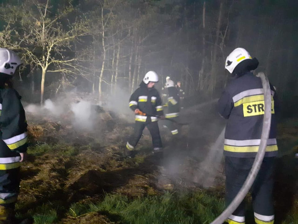 Lasy płoną. Rzadziej niż w ubiegłych latach [wideo, zdjęcia]