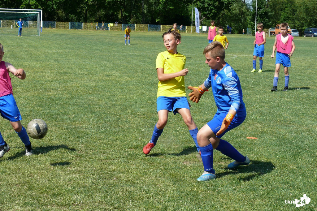 Końskie wicemistrzem, Kwidzyn mistrzem. Za nami Mistrzostwa Polski Champions! [fotorelacja]