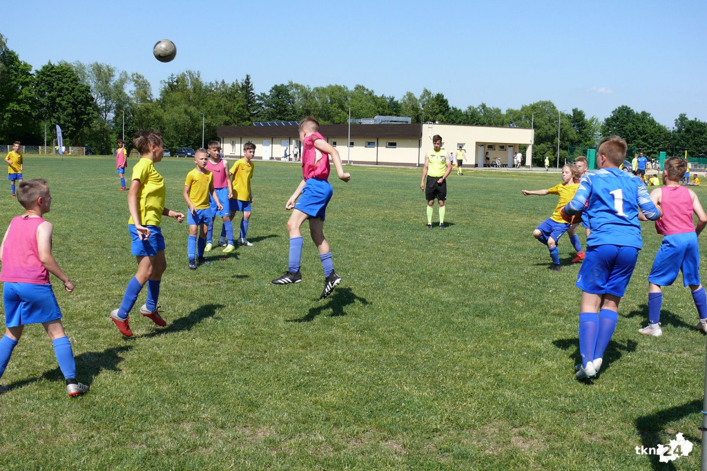 Końskie wicemistrzem, Kwidzyn mistrzem. Za nami Mistrzostwa Polski Champions! [fotorelacja]