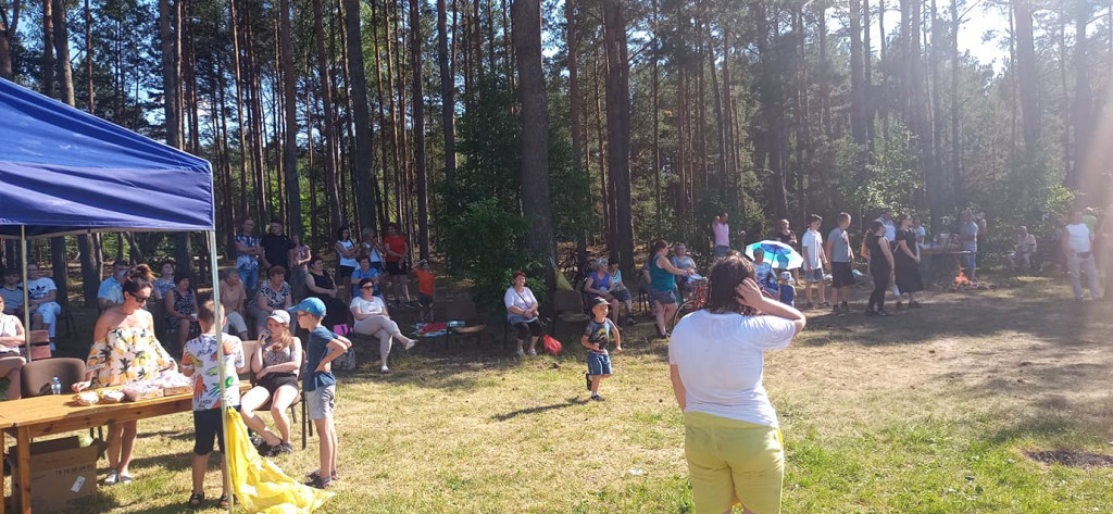 Sołecki festyn w Nieświniu przyciągnął mnóstwo osób! [zdjęcia]