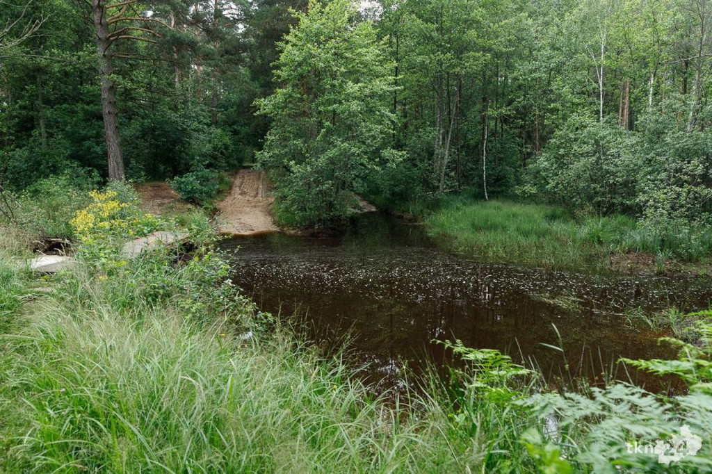 Wspólnie wyruszyli na Piekielny Szlak, by zobaczyć ślady dinozaurów [fotorelacja]
