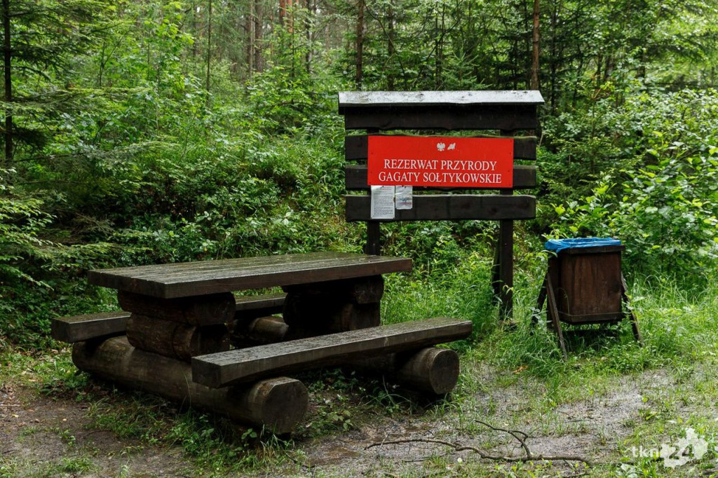 Wspólnie wyruszyli na Piekielny Szlak, by zobaczyć ślady dinozaurów [fotorelacja]
