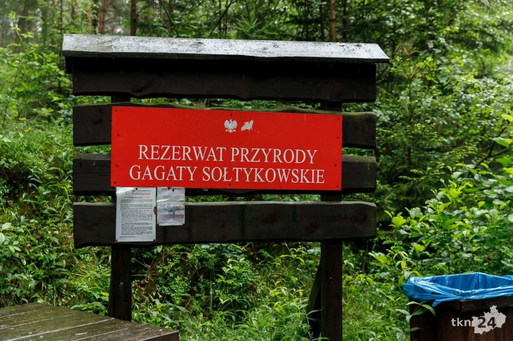Wspólnie wyruszyli na Piekielny Szlak, by zobaczyć ślady dinozaurów [fotorelacja]