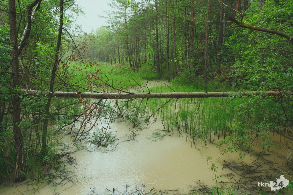 Wspólnie wyruszyli na Piekielny Szlak, by zobaczyć ślady dinozaurów [fotorelacja]