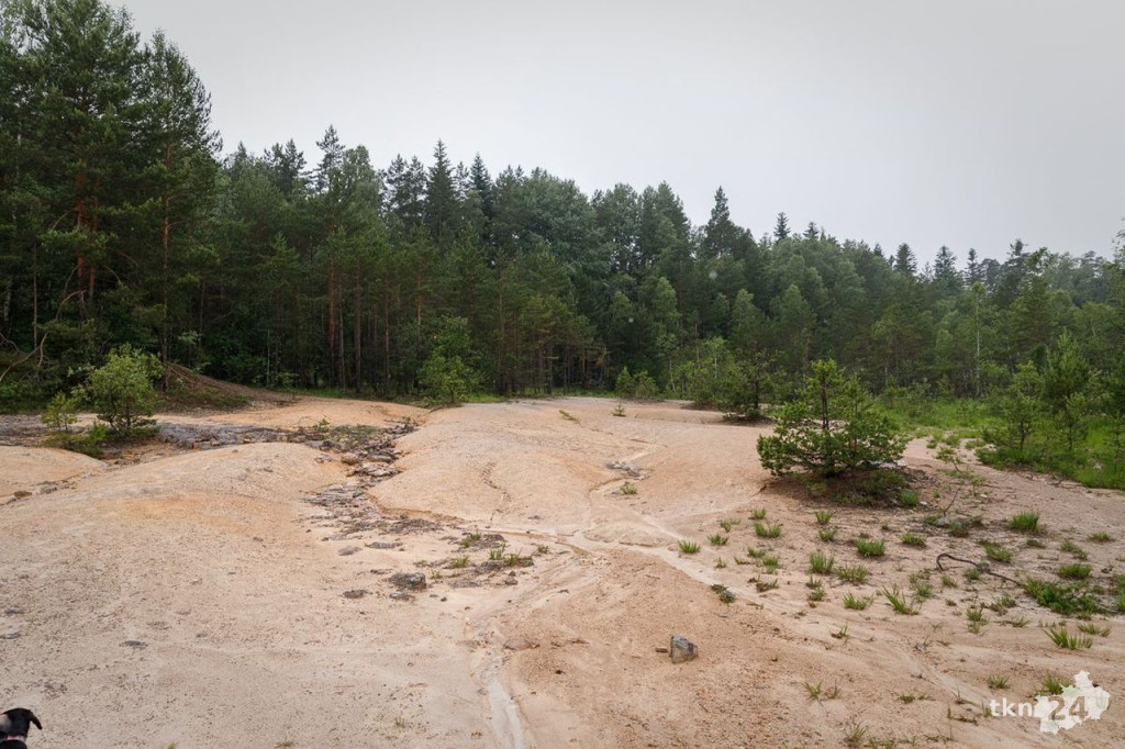 Wspólnie wyruszyli na Piekielny Szlak, by zobaczyć ślady dinozaurów [fotorelacja]