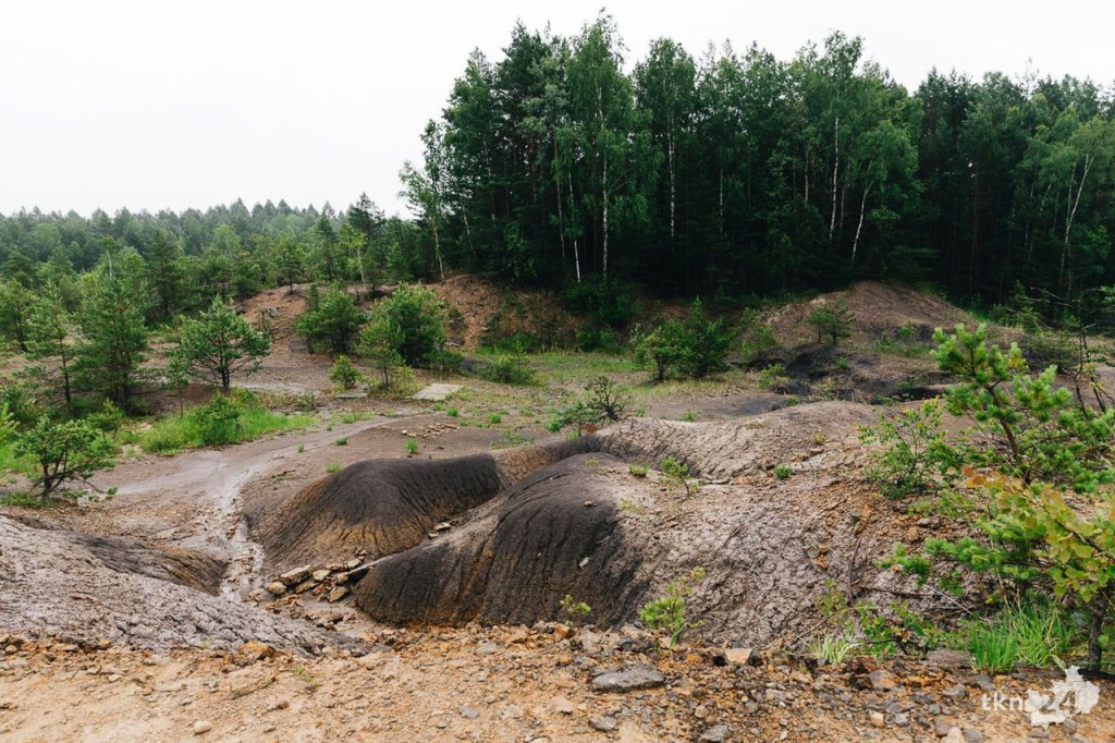 Wspólnie wyruszyli na Piekielny Szlak, by zobaczyć ślady dinozaurów [fotorelacja]