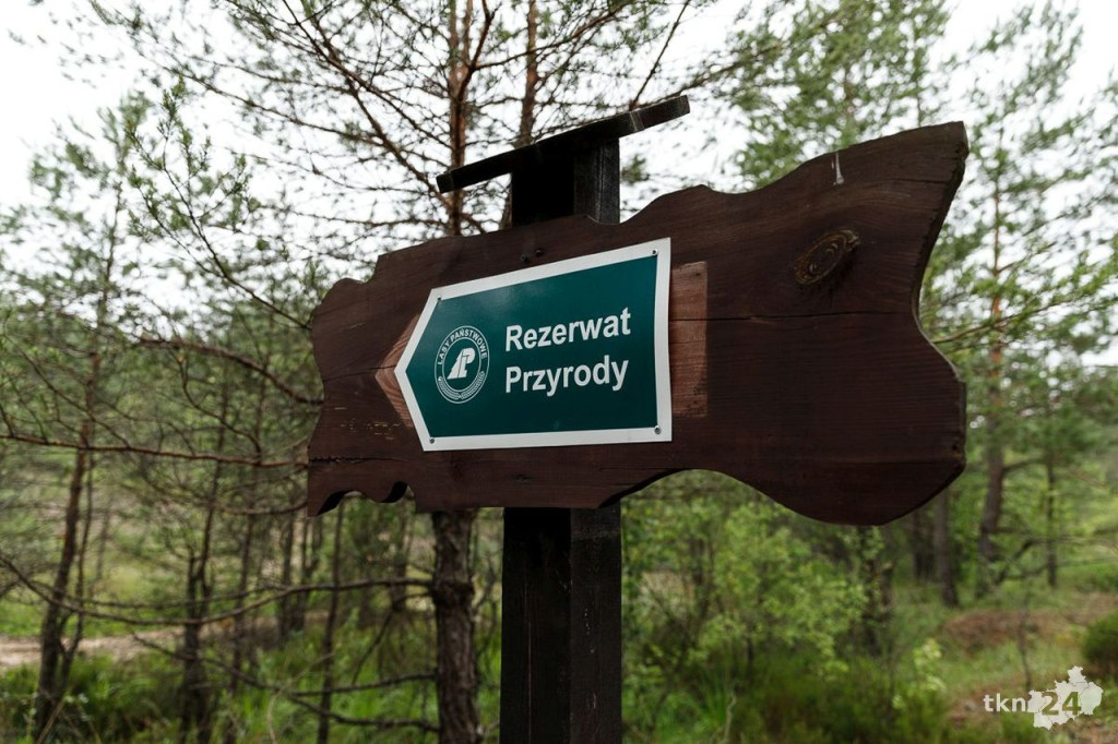 Wspólnie wyruszyli na Piekielny Szlak, by zobaczyć ślady dinozaurów [fotorelacja]