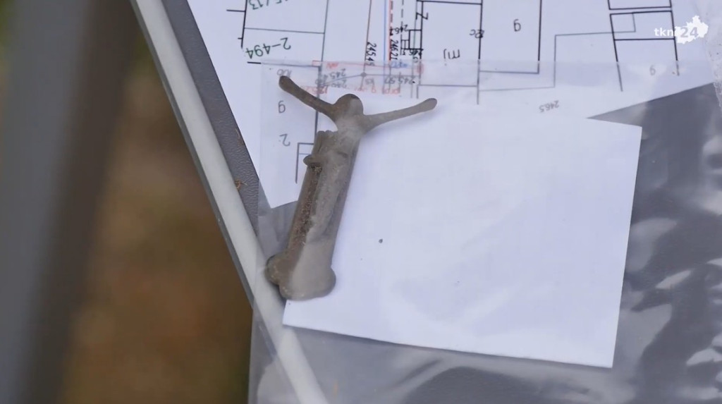 Szukają śladów historii podczas rewitalizacji Końskich [wideo, zdjęcia]