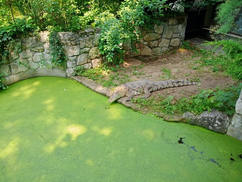 Przedszkolaki zwiedziły warszawskie zoo [zdjęcia]