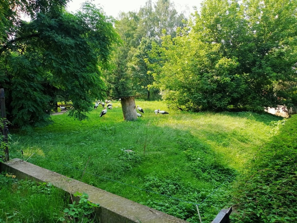Przedszkolaki zwiedziły warszawskie zoo [zdjęcia]