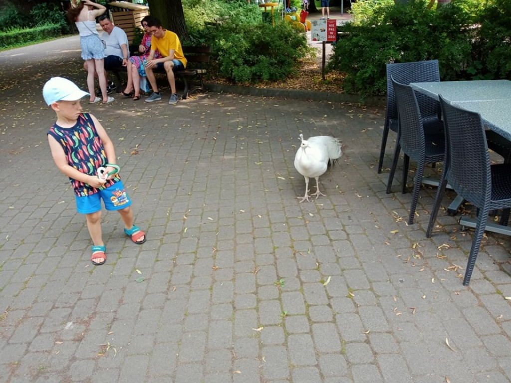 Przedszkolaki zwiedziły warszawskie zoo [zdjęcia]