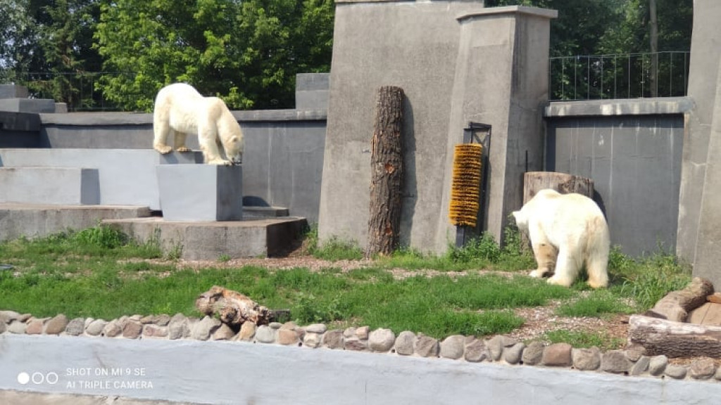 Przedszkolaki zwiedziły warszawskie zoo [zdjęcia]