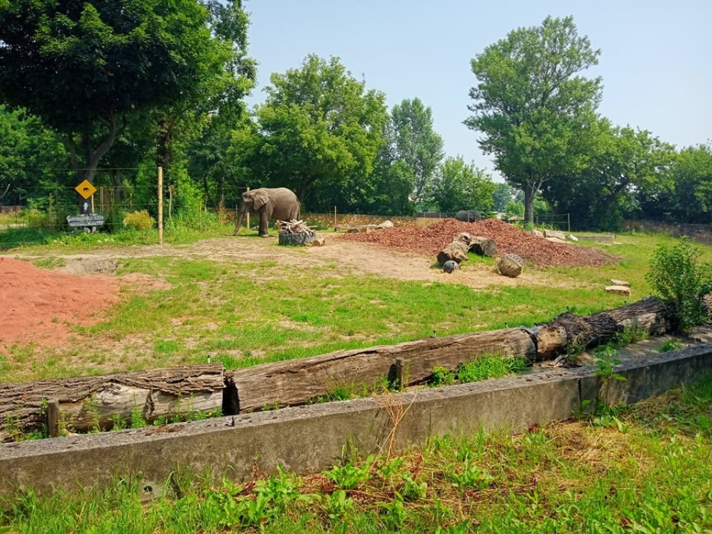 Przedszkolaki zwiedziły warszawskie zoo [zdjęcia]