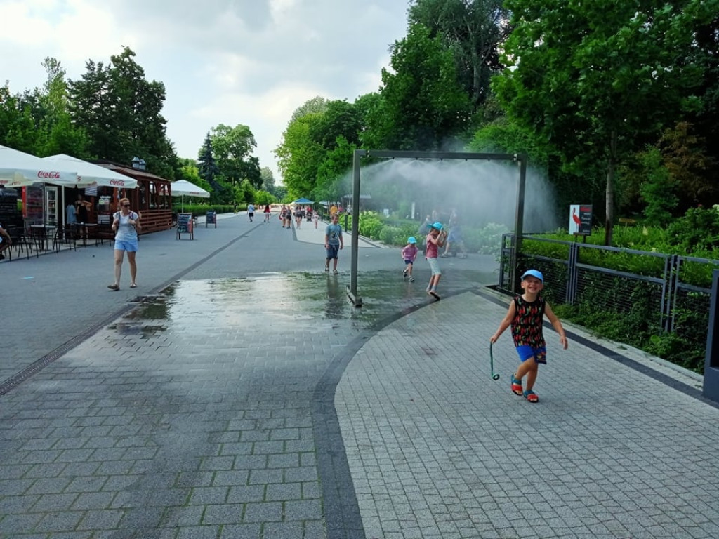 Przedszkolaki zwiedziły warszawskie zoo [zdjęcia]