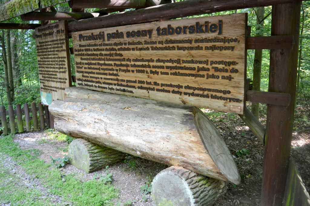 MJM zaprasza na Warmię i Mazury!