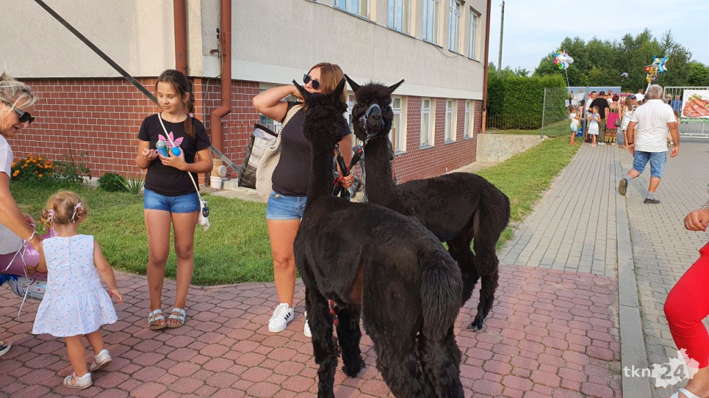 Festyn św. Rocha w Gowarczowie z koncertem `Extazy` [wideo, zdjęcia]