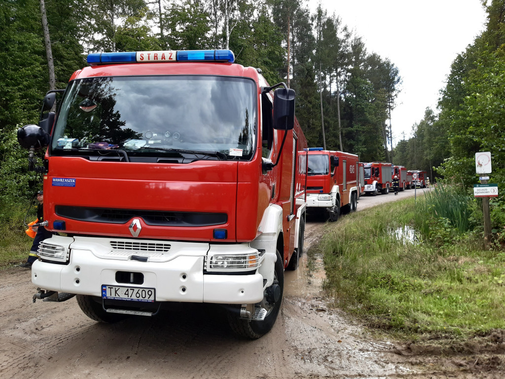 Ćwiczyli na wypadek dużego pożaru lasu [zdjęcia]