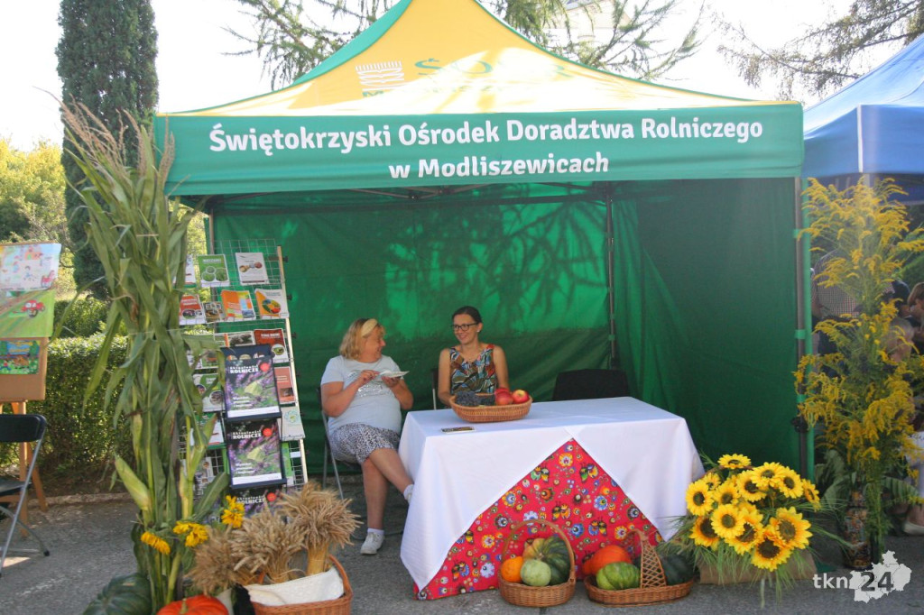 Tradycyjnie i rozrywkowo podczas powiatowych dożynek [wideo, zdjęcia]