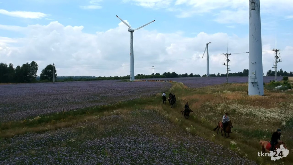 Góralskie domki, rodzinny klimat i jazda konna. To Atmosfera w Sielpi! [wideo, zdjęcia]
