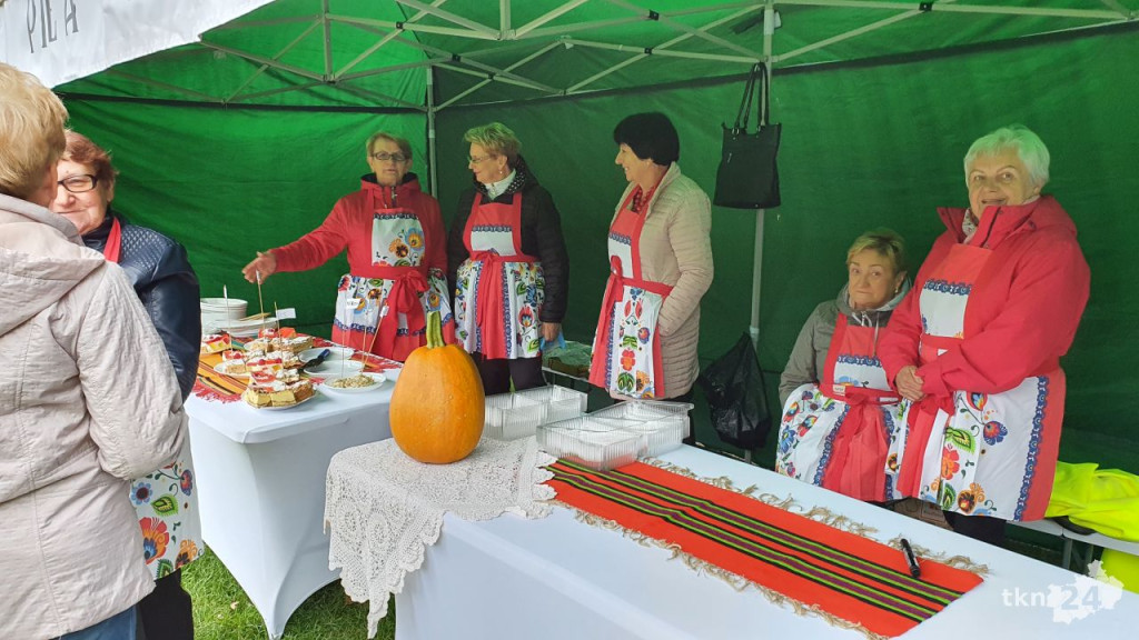 Święto seniorów w koneckim parku. Odbyły się `Senioralia` [wideo, zdjęcia]