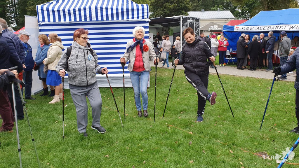 Święto seniorów w koneckim parku. Odbyły się `Senioralia` [wideo, zdjęcia]