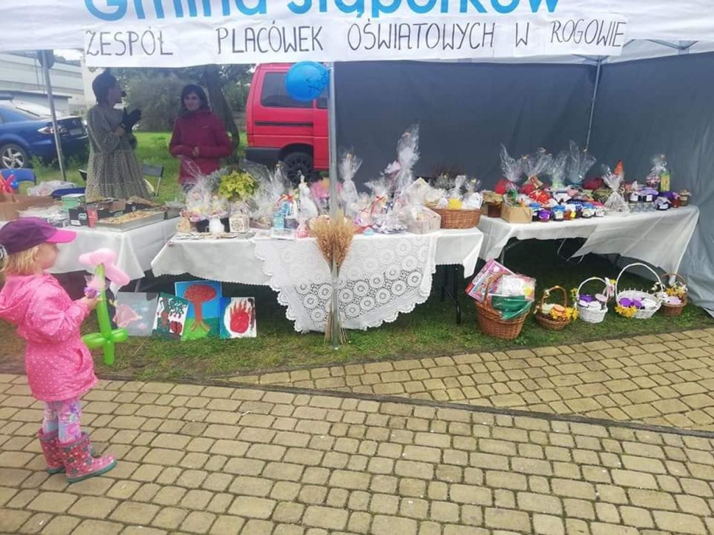 Zebrano ponad 8,5 tysiąca dla Oliwki podczas charytatywnego pikniku [zdjęcia]
