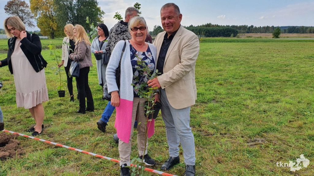Nowe drzewa nad Antoniowem. Tak gmina dba o Czyste Powietrze [wideo, zdjęcia]