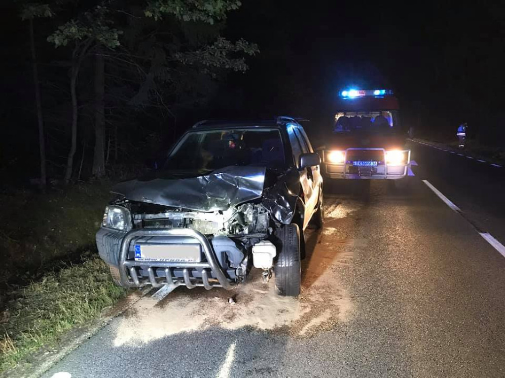 Zderzenie Hondy z sarną na DK 42