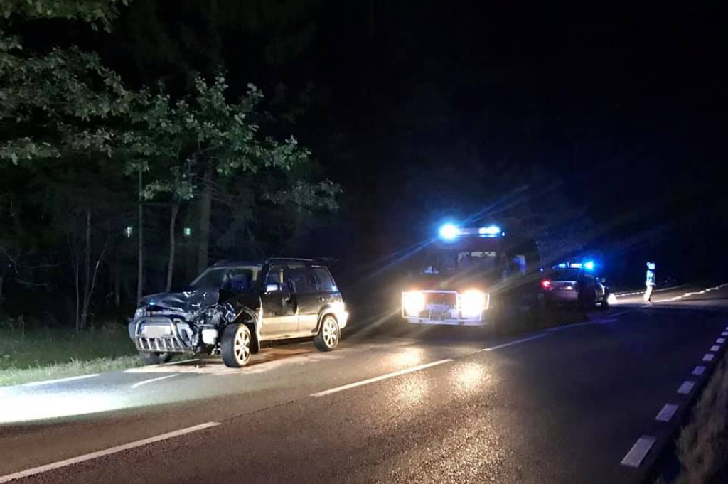 Zderzenie Hondy z sarną na DK 42