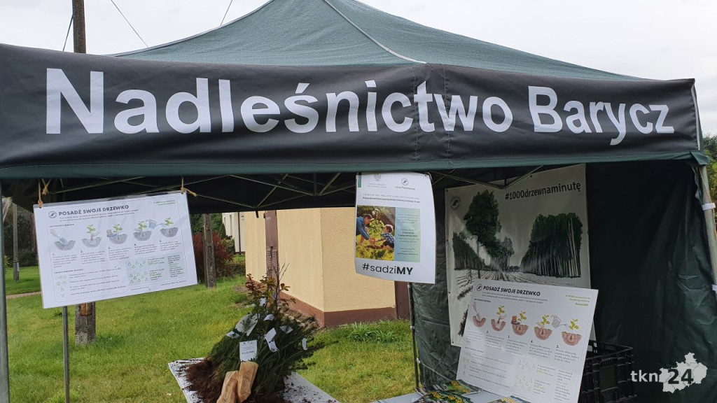 Nadleśnictwa rozdają sadzonki. Jeszcze dziś można je odbierać [wideo, zdjęcia]