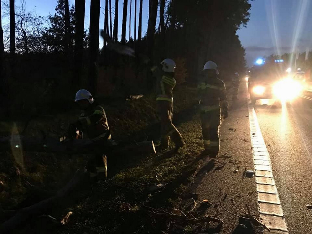 Skutki silnej wichury w powiecie koneckim [zdjęcia]
