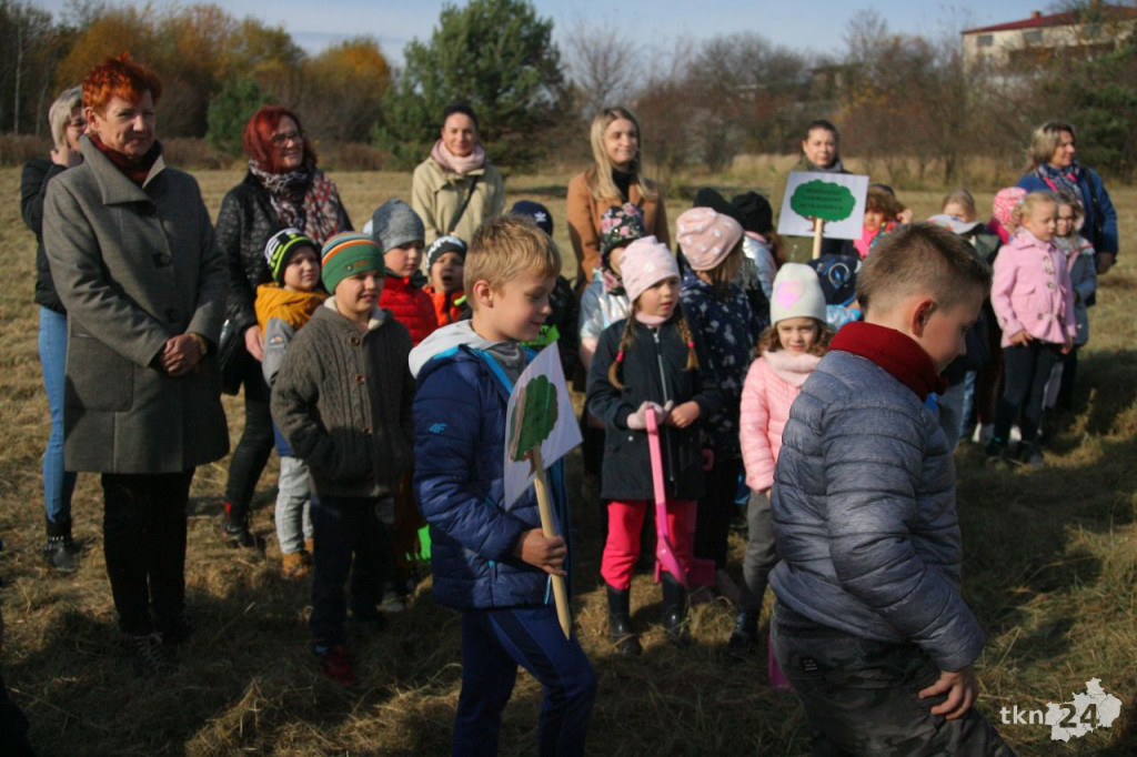 Dzieci posadziły na Browarach miododajne drzewa [wideo, zdjęcia]
