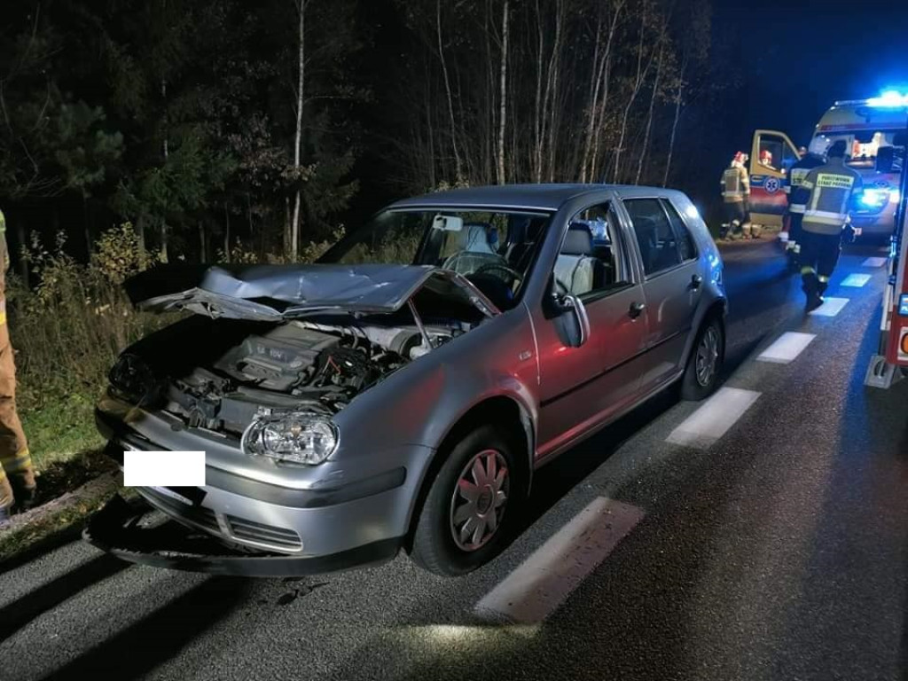 Dachowanie w Radoszycach, zderzenie z jeleniem w gminie Smyków [zdjęcia]