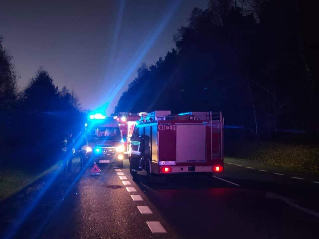 Dachowanie w Radoszycach, zderzenie z jeleniem w gminie Smyków [zdjęcia]