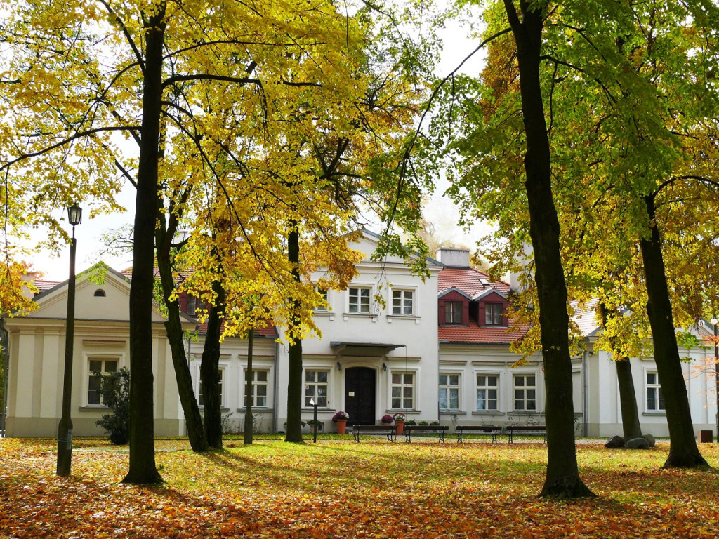 Gęsina w Restauracji Prowincja. Rozpływa się w ustach! [zdjęcia]