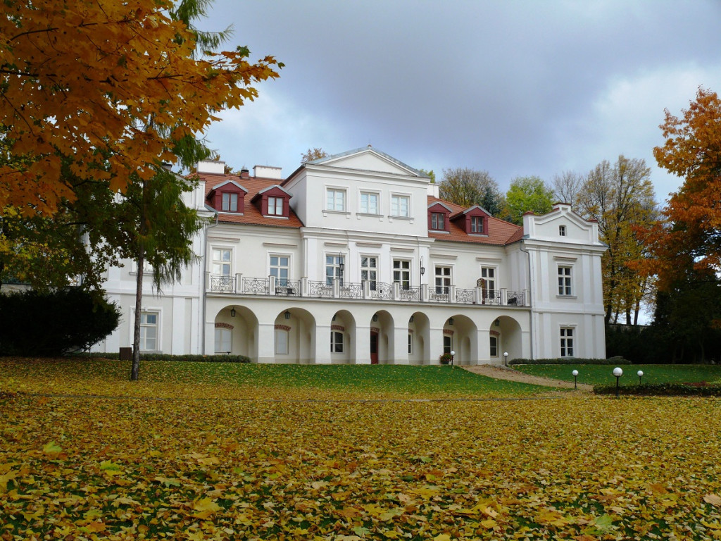 Gęsina w Restauracji Prowincja. Rozpływa się w ustach! [zdjęcia]