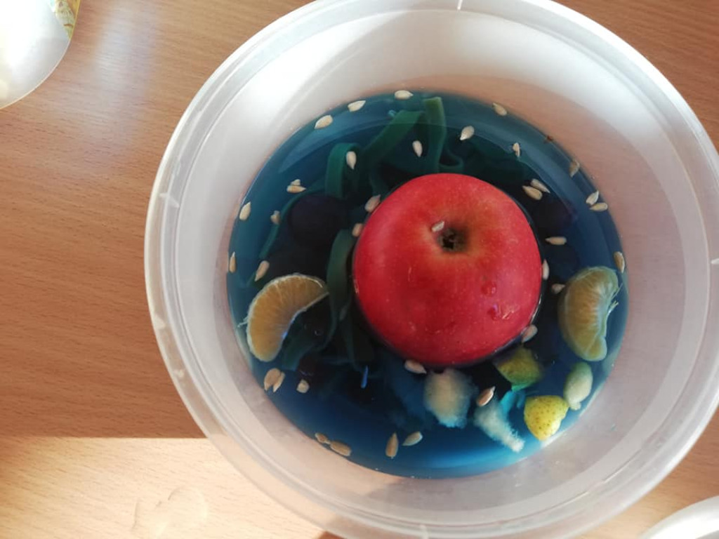Nietypowe lekcje biologii w Miedzierzy [zdjęcia]
