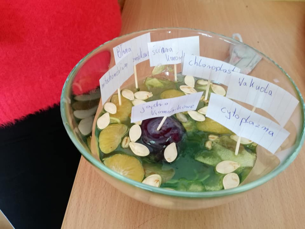 Nietypowe lekcje biologii w Miedzierzy [zdjęcia]
