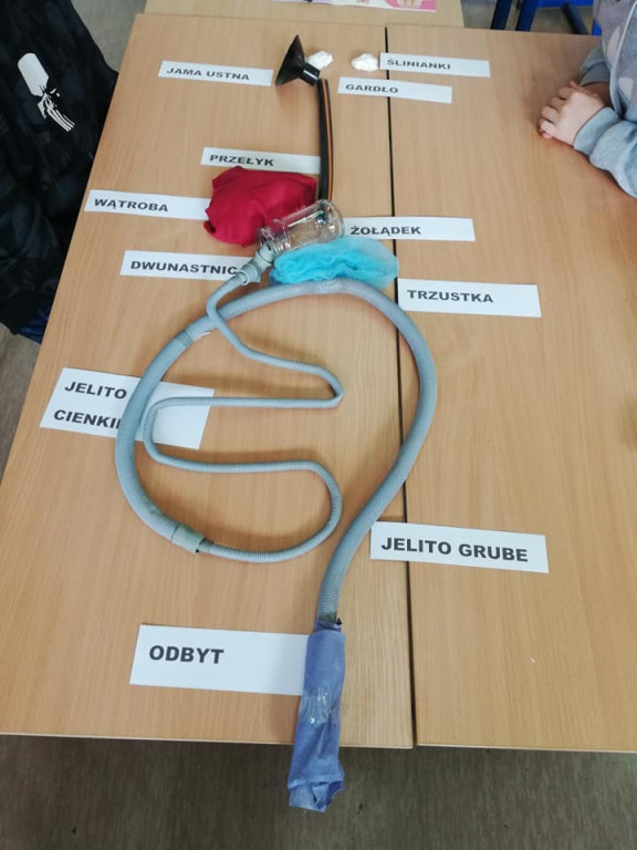 Nietypowe lekcje biologii w Miedzierzy [zdjęcia]