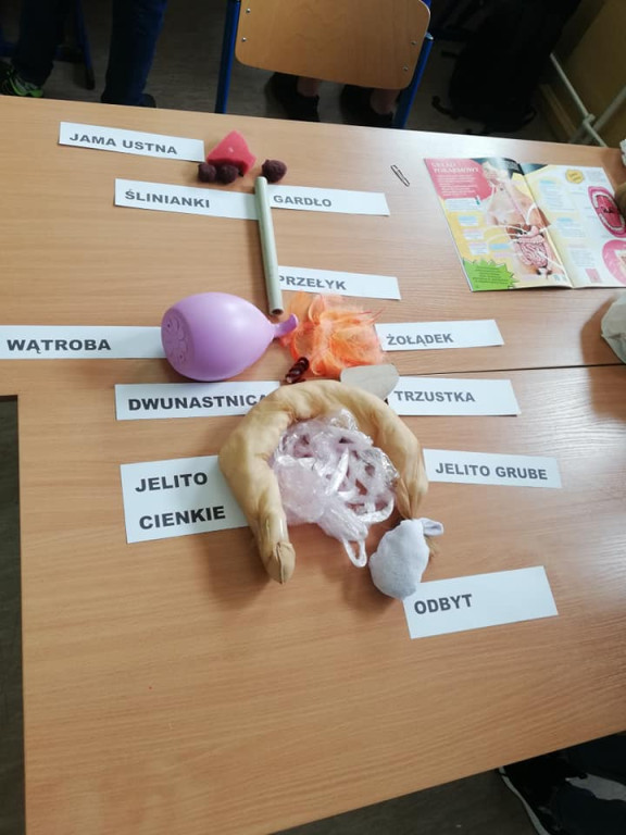 Nietypowe lekcje biologii w Miedzierzy [zdjęcia]
