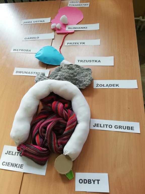 Nietypowe lekcje biologii w Miedzierzy [zdjęcia]