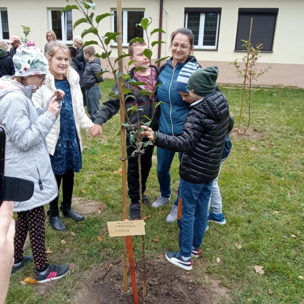 W ośrodku w Baryczy powstał sad jabłoni. Drzewa posadzili uczniowie [zdjęcia]